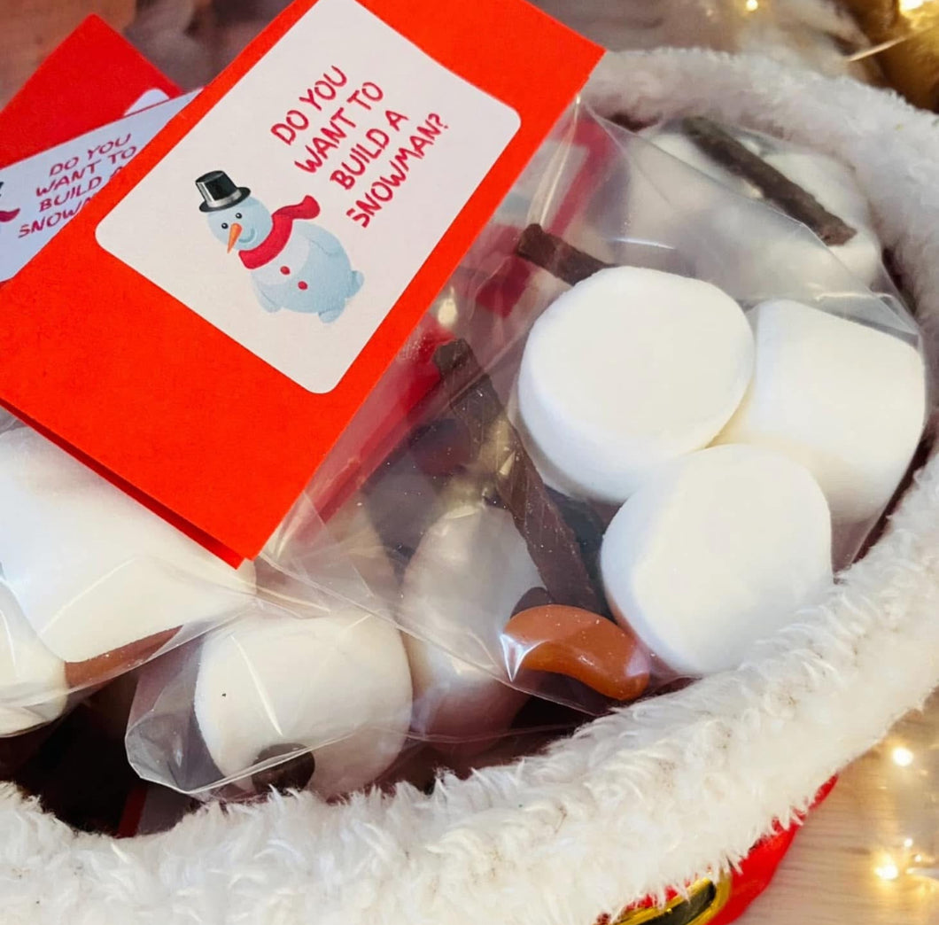 Do you want to build a snowman *PRE ORDER*